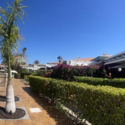 Bungalow Verdemar Maspalomas Maspalomas  Eksteriør bilde